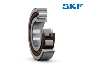 SKF NJ 205 ECP Cylindrical roller bearings